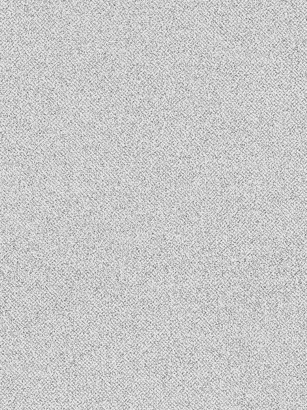 Speckle wallpaper in charcoal black color - pattern number G78147 - by Patton Norwall in the Texture FX collection