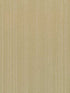 Mangrove wallpaper in arid color - pattern number WDW2171.WT.0 - by Winfield Thybony in the Distinctive Walls collection
