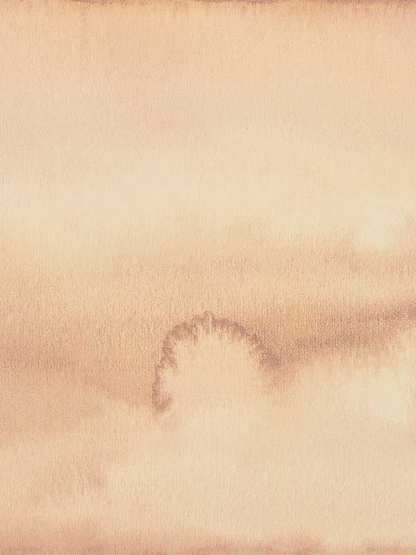 Shoreline fabric in aloha color - pattern number WDW2179.WT.0 - by Winfield Thybony in the Distinctive Walls collection