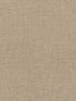 Tannin wallpaper in clay color - pattern number WDW2235.WT.0 - by Winfield Thybony in the Distinctive Walls collection