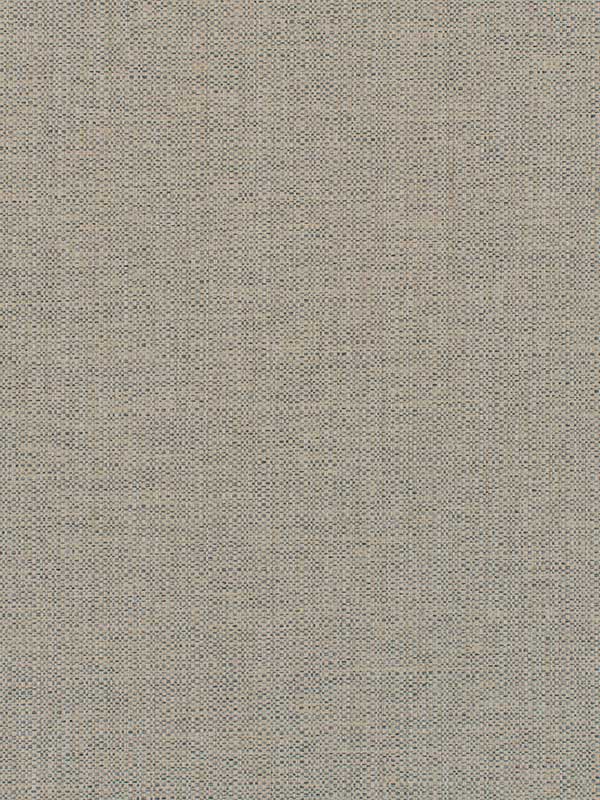 Barron wallpaper in cashmere color - pattern number WDW2329.WT.0 - by Winfield Thybony in the Distinctive Walls collection