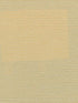 Elza wallpaper in clam shell color - pattern number WDW2339.WT.0 - by Winfield Thybony in the Distinctive Walls collection