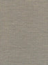 Camille wallpaper in silt color - pattern number WDW2364.WT.0 - by Winfield Thybony in the Distinctive Walls collection