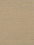 Distinctive Sisals wallpaper in acorn color - pattern number WDW2401.WT.0 - by Winfield Thybony in the Distinctive Walls collection