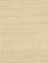 Distinctive Sisals wallpaper in cameo color - pattern number WDW2402.WT.0 - by Winfield Thybony in the Distinctive Walls collection