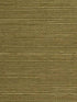 Distinctive Sisals wallpaper in moss color - pattern number WDW2413.WT.0 - by Winfield Thybony in the Distinctive Walls collection
