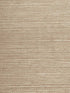 Plain Grounds wallpaper in 5105 color - pattern number WBG5105.WT.0 - by Winfield Thybony in the Barclay Butera Printed Grasscloths and Paperweaves collection