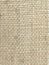 Grasscloth wallpaper in 5123 color - pattern number WBG5123.WT.0 - by Winfield Thybony in the Barclay Butera Printed Grasscloths and Paperweaves collection