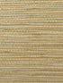 Krauss fabric in madras color - pattern number WPW1291.WT.0 - by Winfield Thybony in the Performance Vinyls collection