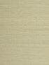 Rossi Silk fabric in laguna beach color - pattern number WTE6078.WT.0 - by Winfield Thybony in the Elegante collection