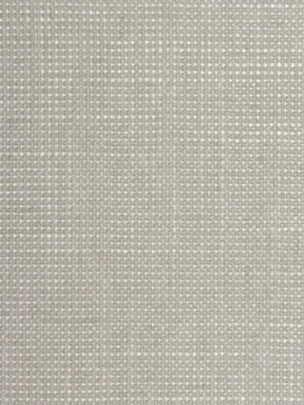 Adorno fabric in terragon color - pattern number WTE6095.WT.0 - by Winfield Thybony in the Elegante collection