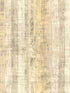 Brush Stroke fabric in gold color - pattern number WSH1019.WT.0 - by Winfield Thybony in the Showhouse collection