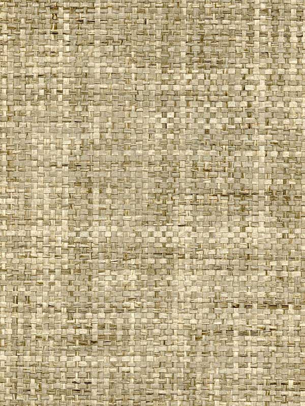 Sonata Weave fabric in biscuit color - pattern number WNW2207.WT.0 - by Winfield Thybony in the Symphony Textures collection