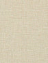 Canvas fabric in dune color - pattern number WTN1012.WT.0 - by Winfield Thybony in the Taniya Nayak collection