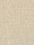 Canvas fabric in tapioca color - pattern number WTN1015.WT.0 - by Winfield Thybony in the Taniya Nayak collection