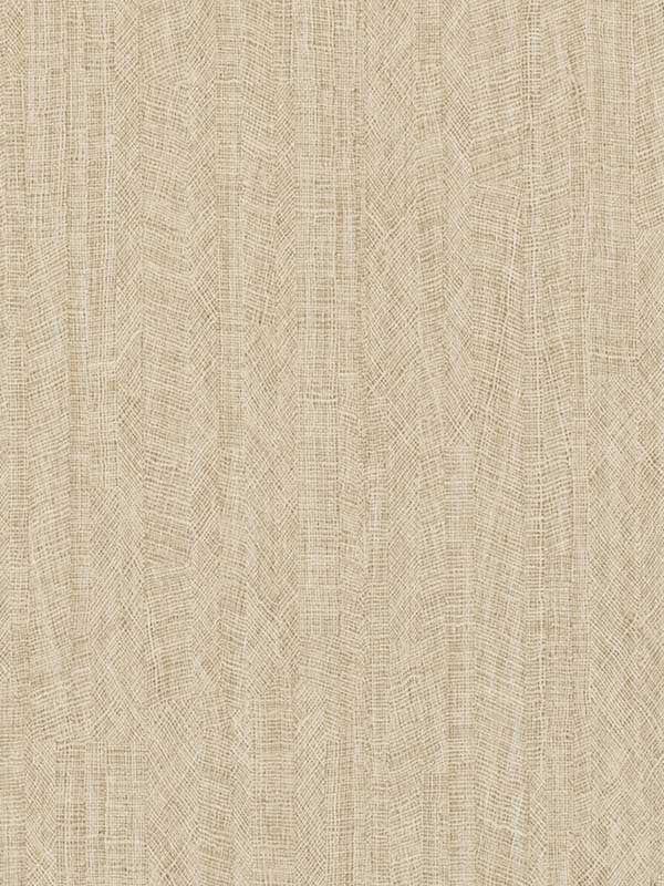 Impression wallpaper in dune color - pattern number WTN1038.WT.0 - by Winfield Thybony in the Taniya Nayak collection