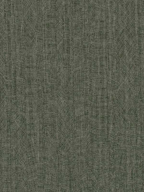 Impression wallpaper in forest color - pattern number WTN1043.WT.0 - by Winfield Thybony in the Taniya Nayak collection