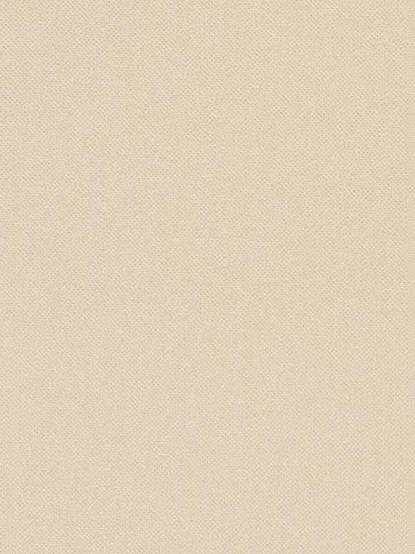Opulence wallpaper in dune color - pattern number WTN1048.WT.0 - by Winfield Thybony in the Taniya Nayak collection