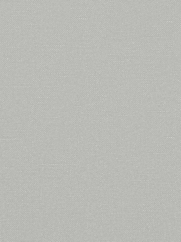 Opulence wallpaper in soft gray color - pattern number WTN1049.WT.0 - by Winfield Thybony in the Taniya Nayak collection