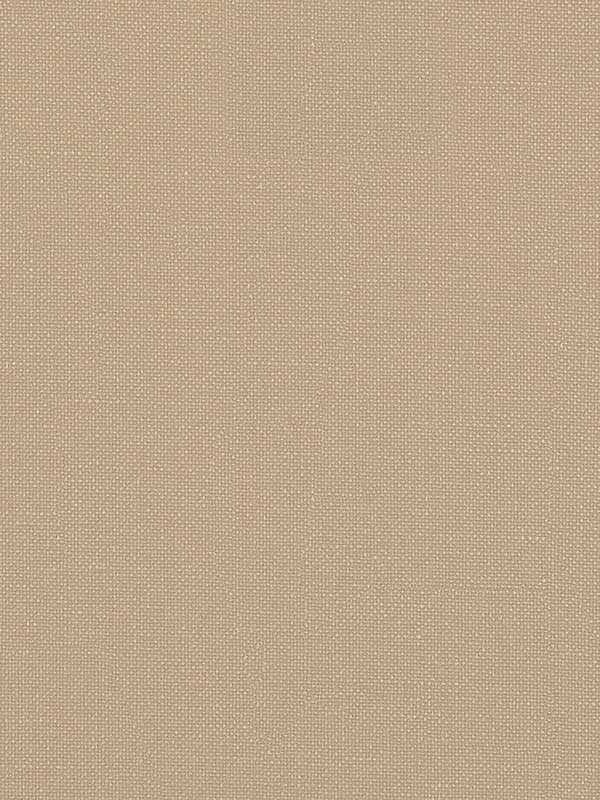 Opulence wallpaper in tapioca color - pattern number WTN1051.WT.0 - by Winfield Thybony in the Taniya Nayak collection