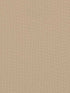 Opulence wallpaper in tapioca color - pattern number WTN1051.WT.0 - by Winfield Thybony in the Taniya Nayak collection