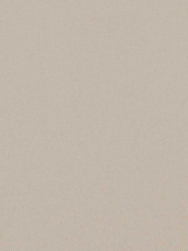 Opulence wallpaper in pink salt color - pattern number WTN1052.WT.0 - by Winfield Thybony in the Taniya Nayak collection