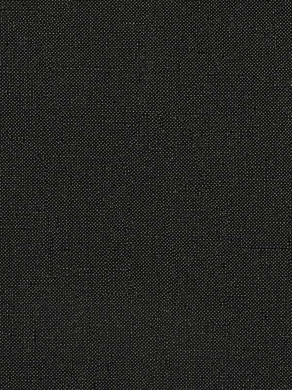 Opulence wallpaper in graphite color - pattern number WTN1055.WT.0 - by Winfield Thybony in the Taniya Nayak collection