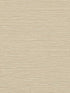 Labyrinth fabric in dune color - pattern number WTN1092.WT.0 - by Winfield Thybony in the Taniya Nayak collection