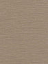 Labyrinth fabric in macchiato color - pattern number WTN1100.WT.0 - by Winfield Thybony in the Taniya Nayak collection