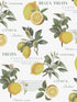 Citron Botanical fabric in yellow green white color - pattern number G45409 - by Galerie in the Just Kitchens collection