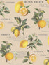 Citron Botanical fabric in taupe color - pattern number G45410 - by Galerie in the Just Kitchens collection