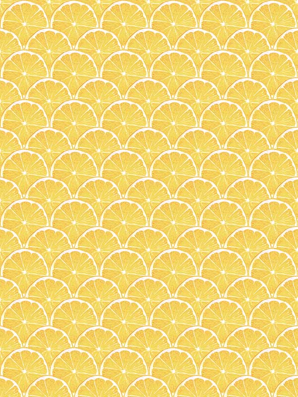 Lemon Scallop wallpaper in yellow color - pattern number G45438 - by Galerie in the Just Kitchens collection
