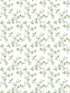 Anenome Mini fabric in duck egg sage green white color - pattern number G78483 - by Galerie in the Secret Garden collection