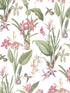 Cottage Botanical fabric in pink sage green white color - pattern number G78506 - by Galerie in the Secret Garden collection