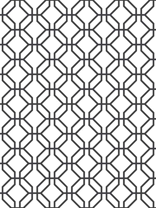 Trellis Positive wallpaper in black color - pattern number G78525 - by Galerie in the Secret Garden collection
