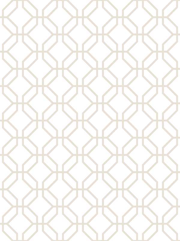Trellis Positive wallpaper in taupe color - pattern number G78529 - by Galerie in the Secret Garden collection