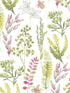 Wild Garden Peel and Stick wallpaper in lemongrass and posy pink color - pattern number NW45407 - by NextWall in the Peel and Stick Wallpaper by Nextwall collection
