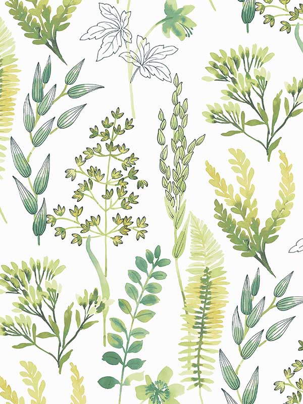 Wild Garden Peel and Stick wallpaper in lemon lime color - pattern number NW45412 - by NextWall in the Peel and Stick Wallpaper by Nextwall collection