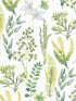Wild Garden Peel and Stick wallpaper in lemon lime color - pattern number NW45412 - by NextWall in the Peel and Stick Wallpaper by Nextwall collection