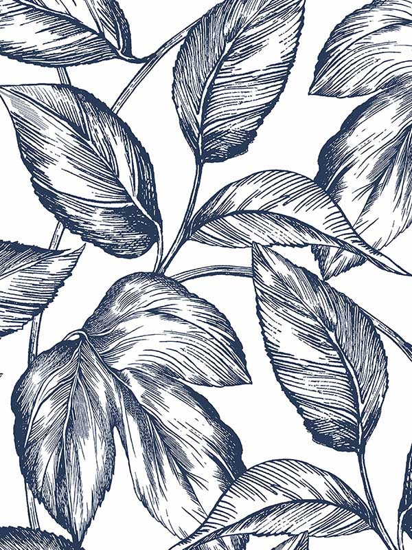 Sketched Leaves Peel and Stick fabric in navy blue color - pattern number NW46902 - by NextWall in the Peel and Stick Wallpaper by Nextwall collection