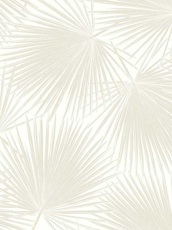 Aruba Palm Peel and Stick wallpaper in sea salt color - pattern number NW47710 - by NextWall in the Peel and Stick Wallpaper by Nextwall collection