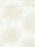 Aruba Palm Peel and Stick wallpaper in sea salt color - pattern number NW47710 - by NextWall in the Peel and Stick Wallpaper by Nextwall collection