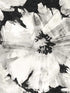 Graphic Floral Peel and Stick wallpaper in ebony and champagne color - pattern number NW49200 - by NextWall in the Peel and Stick Wallpaper by Nextwall collection