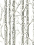 Paper Birch fabric in white and grey color - pattern number BW3901 - by York in the Inspired by Color Beige and Neutrals collection