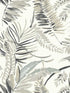 Tropical Toss wallpaper in white color - pattern number TC2622 - by York in the Inspired by Color Beige and Neutrals collection