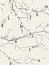 Winter Branches fabric in white color - pattern number NR1524 - by York in the Inspired by Color Black and White III collection