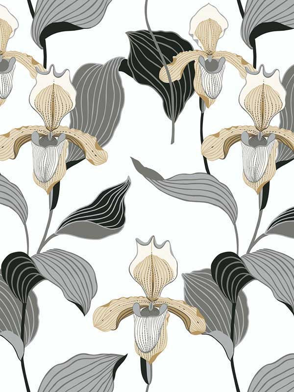 Lady Slipper wallpaper in gold and grey color - pattern number NV5524 - by York in the Inspired by Color Black and White III collection