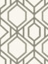 Sawgrass Trellis wallpaper in white and taupe color - pattern number TC2635 - by York in the Inspired by Color Black and White III collection