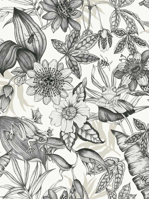 Rainforest fabric in white and charcoal color - pattern number BL1703 - by York in the Blooms Second Edition collection