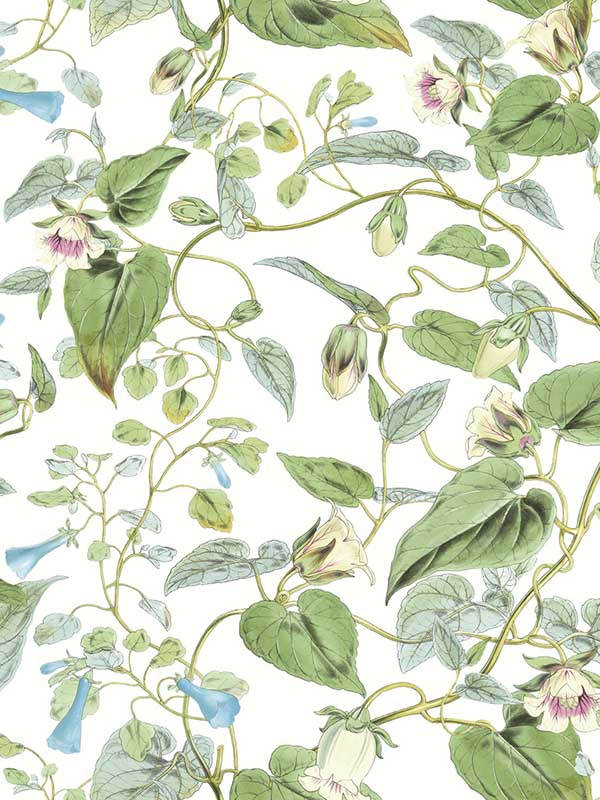 Moon Flower fabric in white color - pattern number BL1711 - by York in the Blooms Second Edition collection
